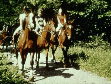 42. Reit- und Wanderweg image-5066