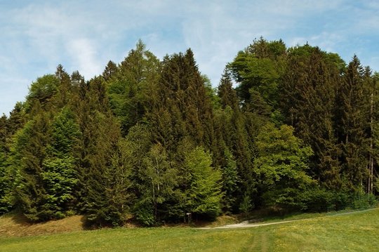 Panorama-Wald-Dreilaenderblick-wg-2020-_2_-links-verkleinert-webbearb