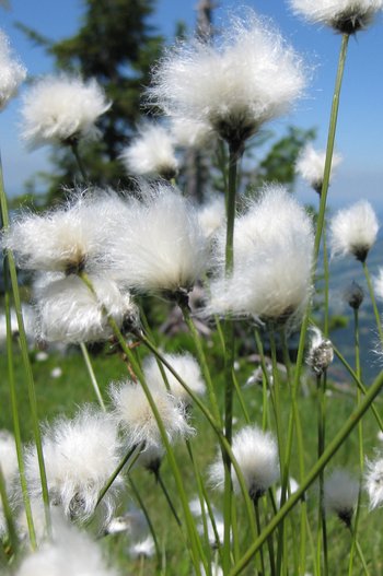 Betriebsausflug2015-194-webbearb