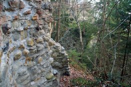 Burg-Lochen-Lochau-wg-12-2016-_8_