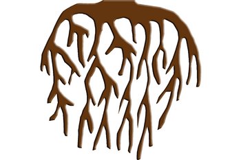 Bild-3b-Laubbaum-vektor-mit-Fruechten-mit-Wurzeln-webbearb