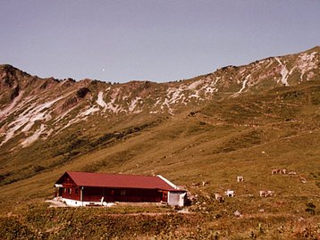 12. Starzelalpe und Starzeljoch image-7053