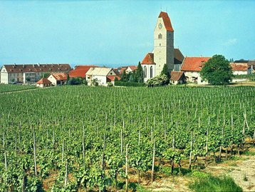 26. Weingarten bei Hagnau  image-2252