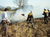 21. Löschen eines Flächenbrandes image-5966