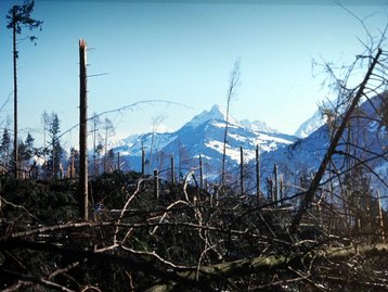 63. Sturm 'Lothar' image-5575