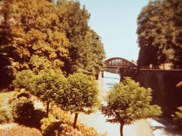 36. Untere Illschlucht image-5238