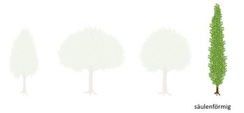 10d-Kronenformen-webbearb