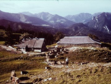 50. Alpe Gschwendt image-5072