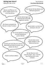 ABL_Kleine_Baumkunde_Richtig_oder_falsch_Verschiedenes