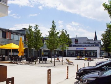 20. Unteres Rheintal - Lauterach image-16138