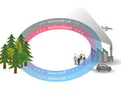 06. Wald als Sauerstoffproduzent image-54351