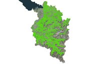 a. Waldkarte Vorarlberg I image-54456