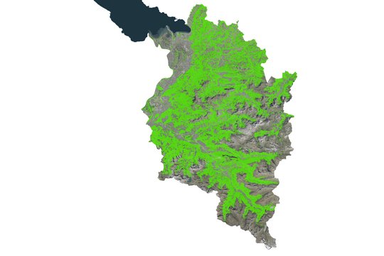 a. Waldkarte Vorarlberg I a. Waldkarte Vorarlberg I