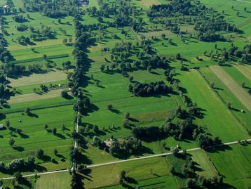 06. Riedlandschaft (Lauteracher Ried) image-49937