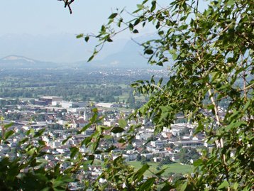 19. Unteres Rheintal - Lauterach image-16137