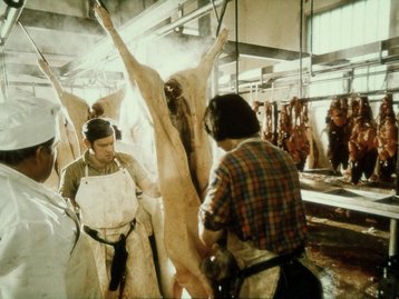 54. Städtischer Schlachthof (Kühlhaus) image-5079