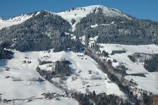 04. Schutzwald 04. Schutzwald