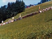 15. Fronleichnamsprozession image-6590