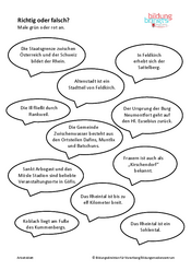 Richtig oder falsch?