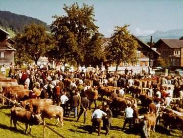 26. Viehmarkt in Schwarzenberg (Bregenzerwald) image-12477