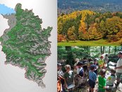 39. Vorarlberg-Material: Unser Wald image-67960