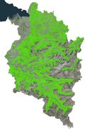 a. Waldkarte Vorarlberg I