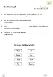 ABL_Kleine_Baumkunde_Silbentrennung_4_Verschiedenes