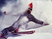 13. Schierzeugung image-6639