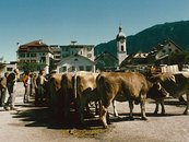 05. Ilanz - erste Stadt am Rhein image-5990