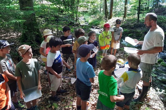 08. Lernort Wald 08. Lernort Wald