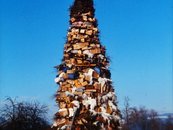 11. Funkensonntag image-6586