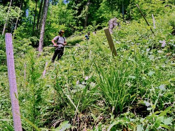 06. Kulturpflege image-54235