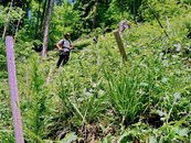 06. Kulturpflege image-54325