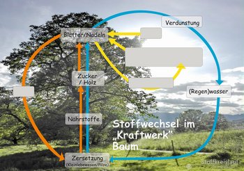 23_Stoffkreislauf-blau-webbearb