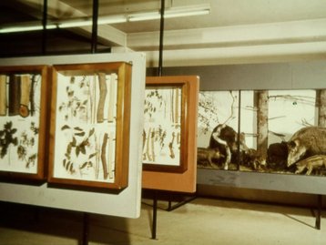 43. Die Vorarlberger Naturschau image-5068