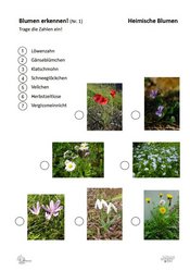 ABL_Blumen_erkennen_1