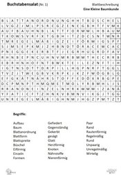 ABL_Kleine_Baumkunde_Buchstabensalat_1_Blattbeschreibung