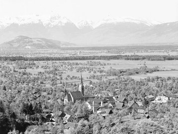 13. Weiler image-6840