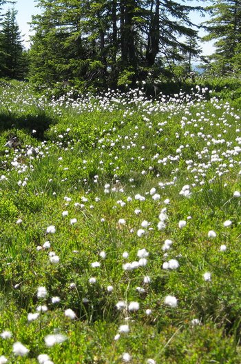 Blume-Betriebsausflug2015-226-webbearb