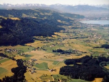 03. Blick zum Pfänder image-7004