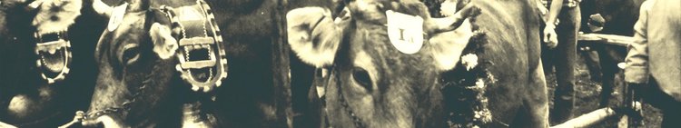 Zeit-Brauchtum_02-Viehausstellung_verg_1920x360