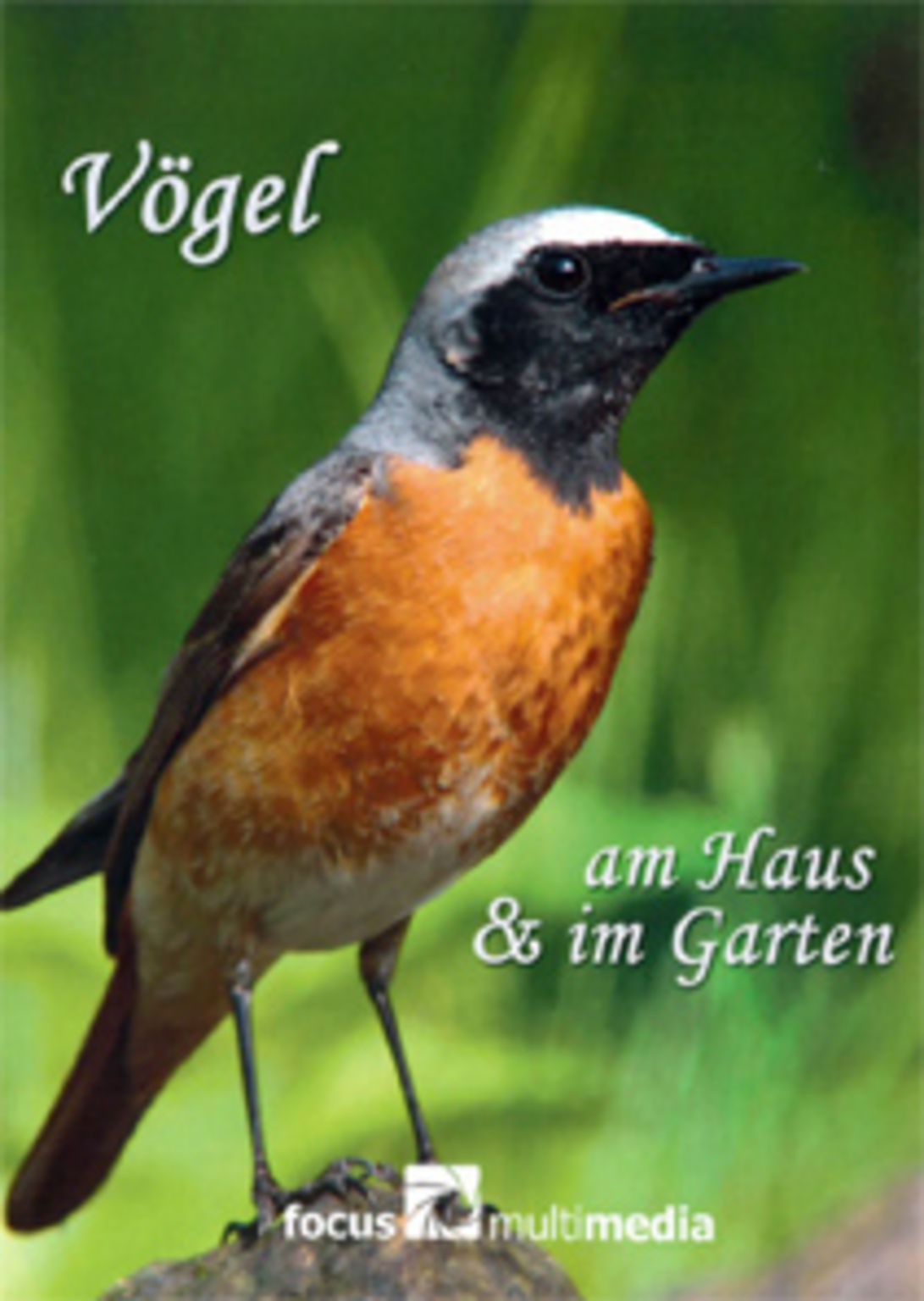 Vogel Am Haus Im Garten Dvd 4605220 Vorarlberger Bildungsservice